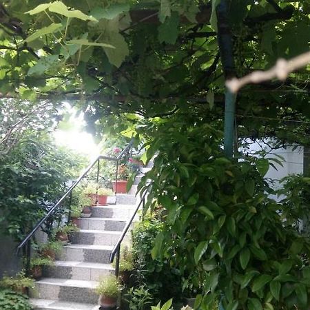 Свети Никола Hotel Sinemoretz Buitenkant foto