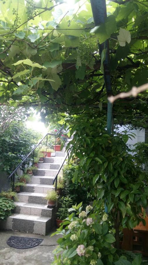 Свети Никола Hotel Sinemoretz Buitenkant foto